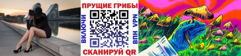 Галлюциногенные грибы Cubensis наркошоп мега онион Мурино